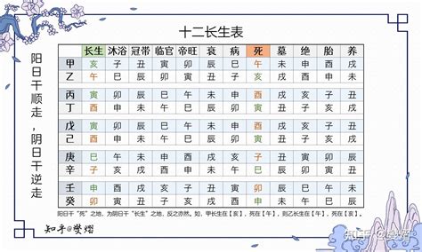 長生十二神|《宮氣：長生十二神》